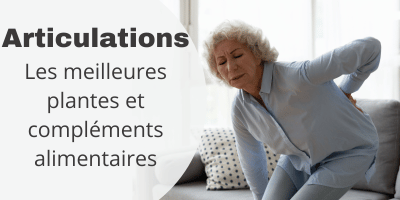 Articulations: les meilleures plantes et compléments alimentaires